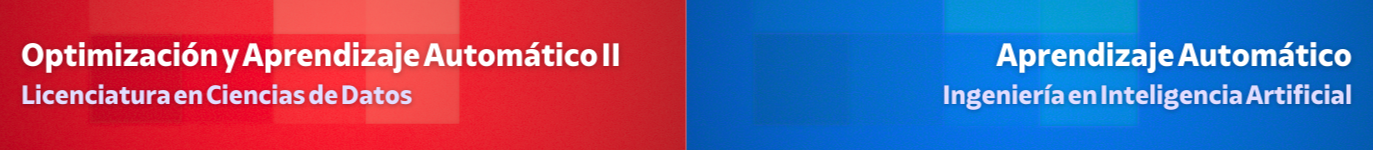 Optimización y Aprendizaje Automático II